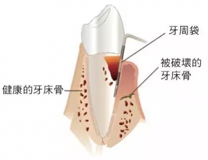 weixin_MTQ2Nzc4NTM12.jpg